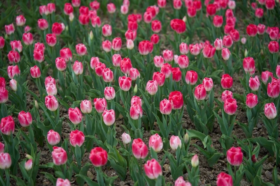 ����� ��������� ���������� �������� ������ - 2026 � ��������� ������������ ����