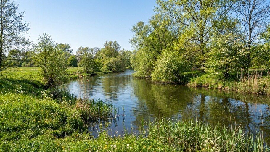 ���������������� ������ �������� �� ���� �������� � ���������� �������