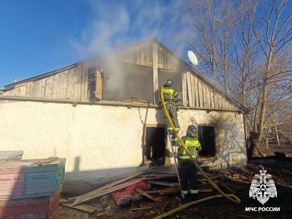 �� �������� ����� �������-������������ ������������� ��� ���������� ������� ����������� ��: