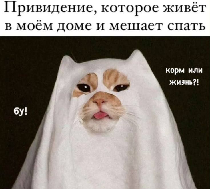 81% ������� ������� ����� � ������������������ ���������