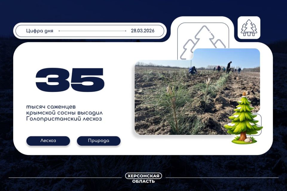 ����� 35 ����� �������� �������� ����� ������� ��������������� ������ � ���� �������� �� ������������������