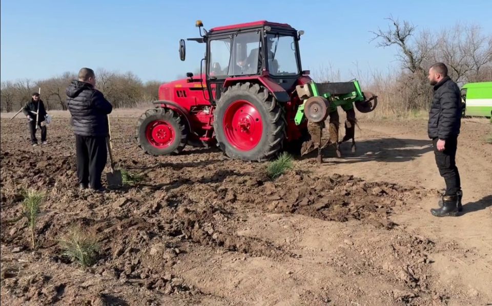 �� ���������� �������� 35 ����� �������� ����� ��������