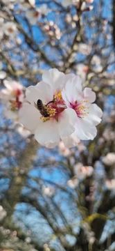 � �� ���������� ����� ������ �����