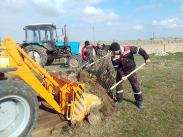 ������������� ������������� �������� � ������� ���� � ������ ��������� ��������� ���������������