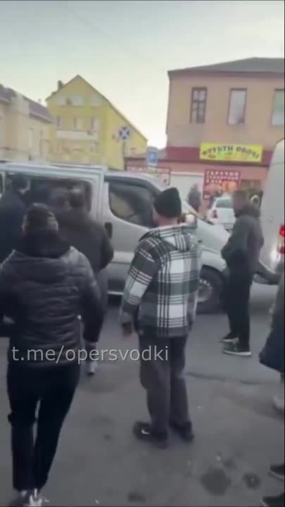 Енот из Херсона: Услада для глаз выглядит именно таким образом