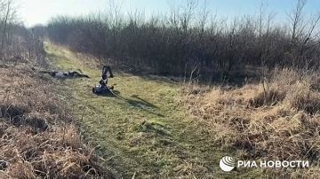 ������ ������������� � ����������, �������� ���