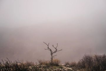 � ���������� ������� 30 ����� ��������� ����� � ������� ���������������