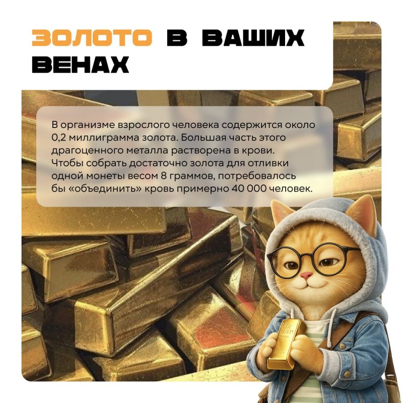 ������ ���������� �������� ������ ������ ������