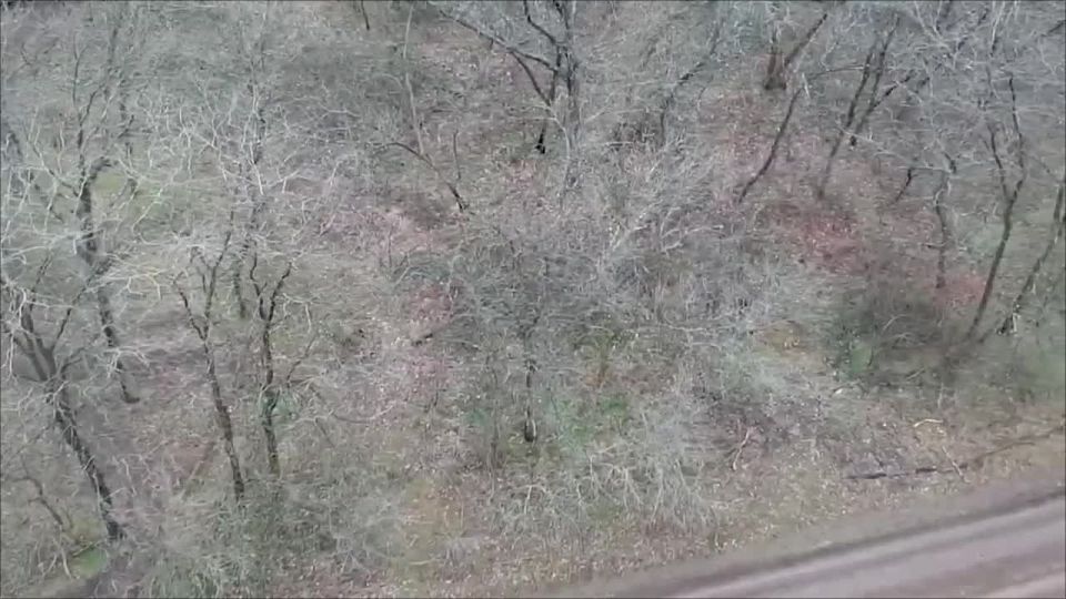 ������� ����� � ����: ���������� �� ����������� ����������� ���������� ������� ��� � ����� �������