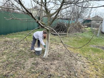 �������� ��������� ��������� ���������� �������� ���� ����������