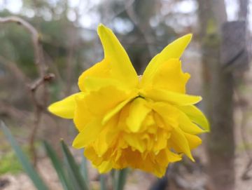 ���� ��������: ������ ����, ������ � ����� ����������� ������!