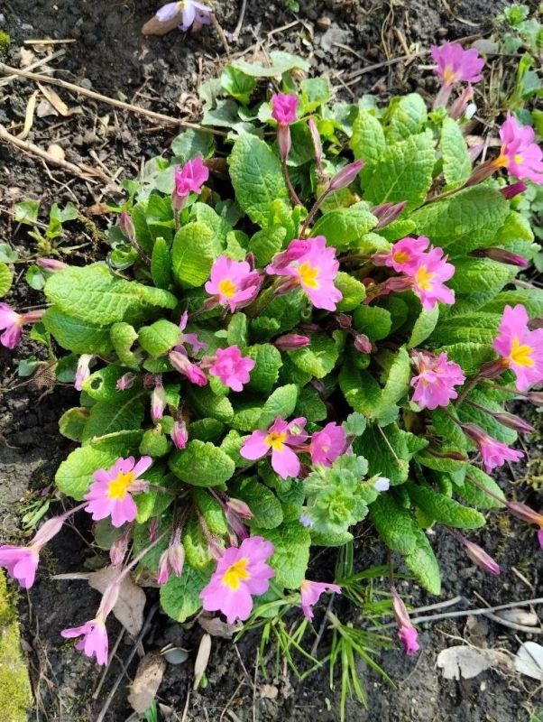 � ������ �����, ������!. �������� ���� ��� �������� �����������, ��������� ���������� � ������� ������