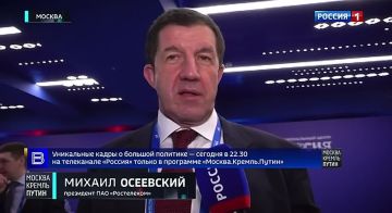 WhatsApp* ����, Telegram ���� � ��������� ���, MAX �����, ������� ��� ������ � ����� ����������� ������ ���������