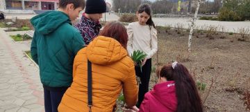Цветущий вклад в будущее: в Нижних Серогозах прошла акция «Час Земли»