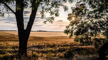 Сальдо назвал заботу о людях главной задачей властей Херсонской области