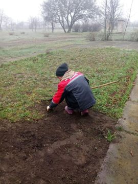 ������������ ������������� ����� �� ���������� �������� ������