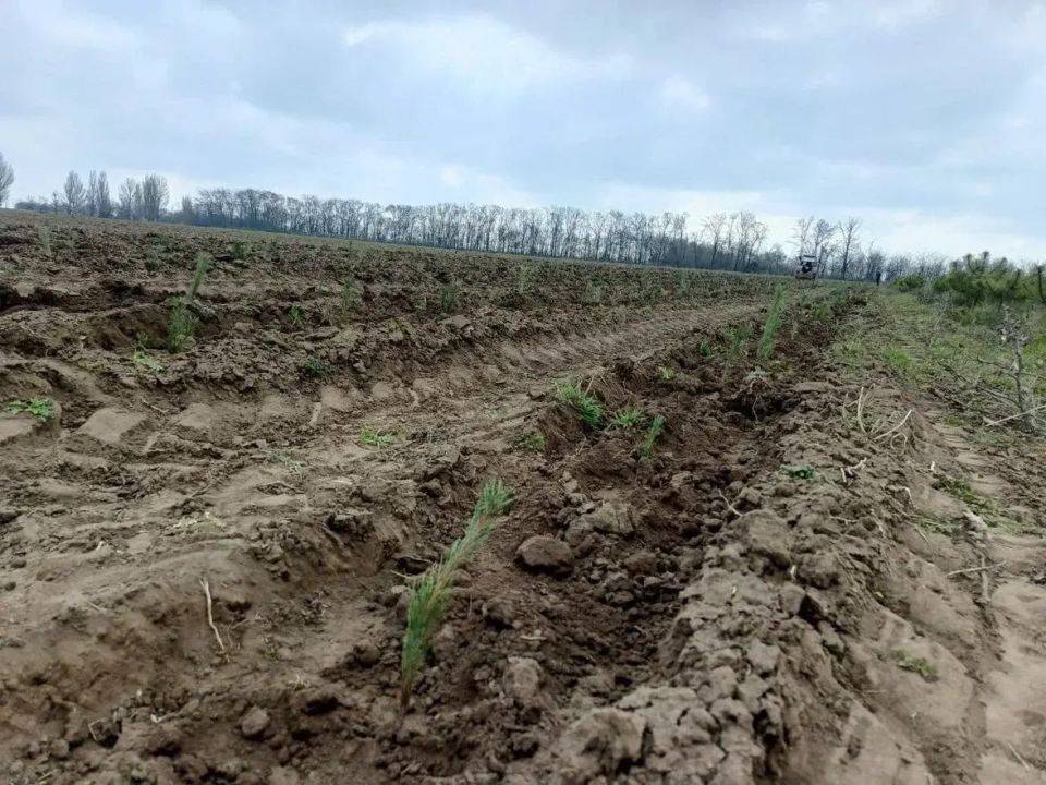 � ��������� ����������� ������� �������� 6 ����� �������� ����� �������� ��� �������������� �����