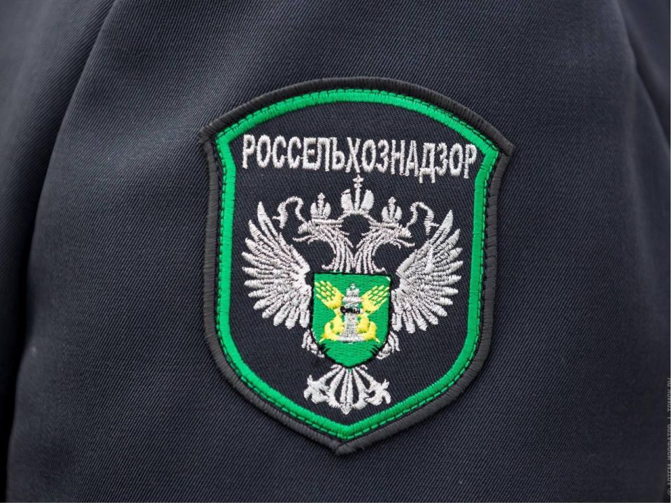 � ���������� ������� � ������� ������� ������-���� �������� 35 ��������� � ������� ��������� ��������