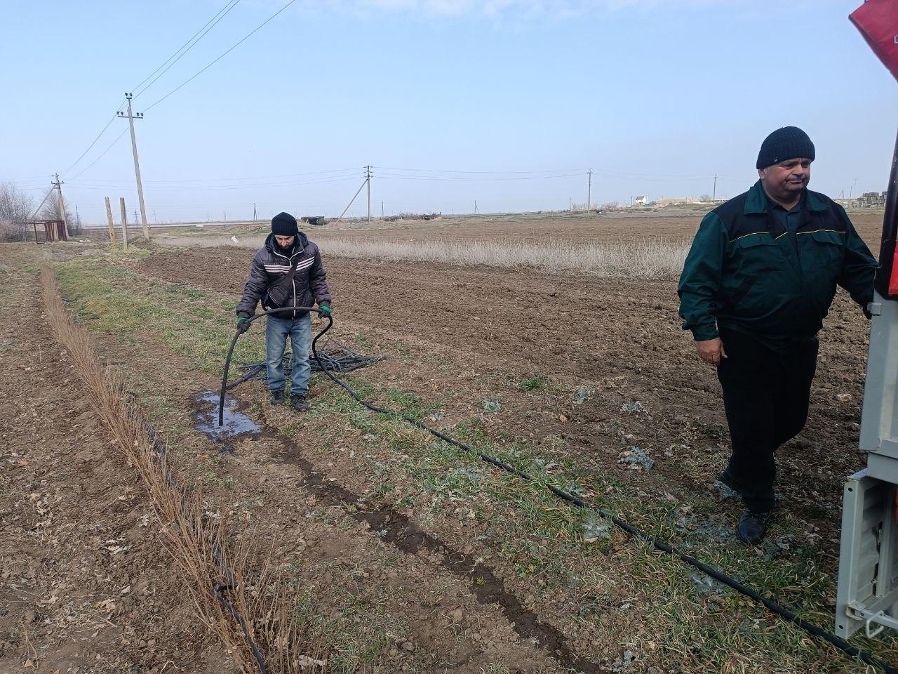 В Новотроицком питомнике провели полив и обработку междурядий для здорового роста саженцев