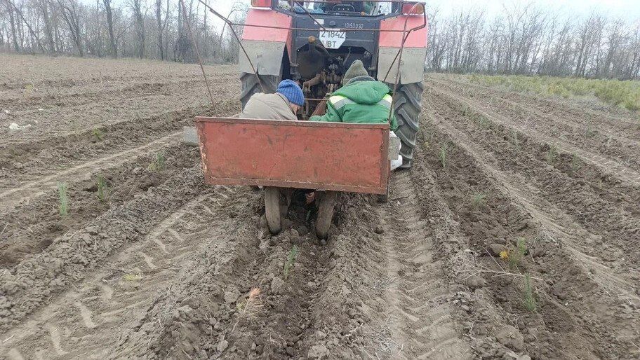 � ���������� ������� �������� 6 ����� �������� ����� ��� �������������� �����