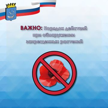 Администрация Алешкинского муниципального округа информирует