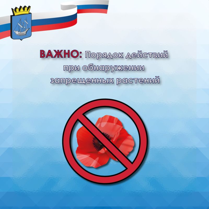 ������������� ������������ �������������� ������ �����������