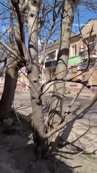 ������ ������ �������