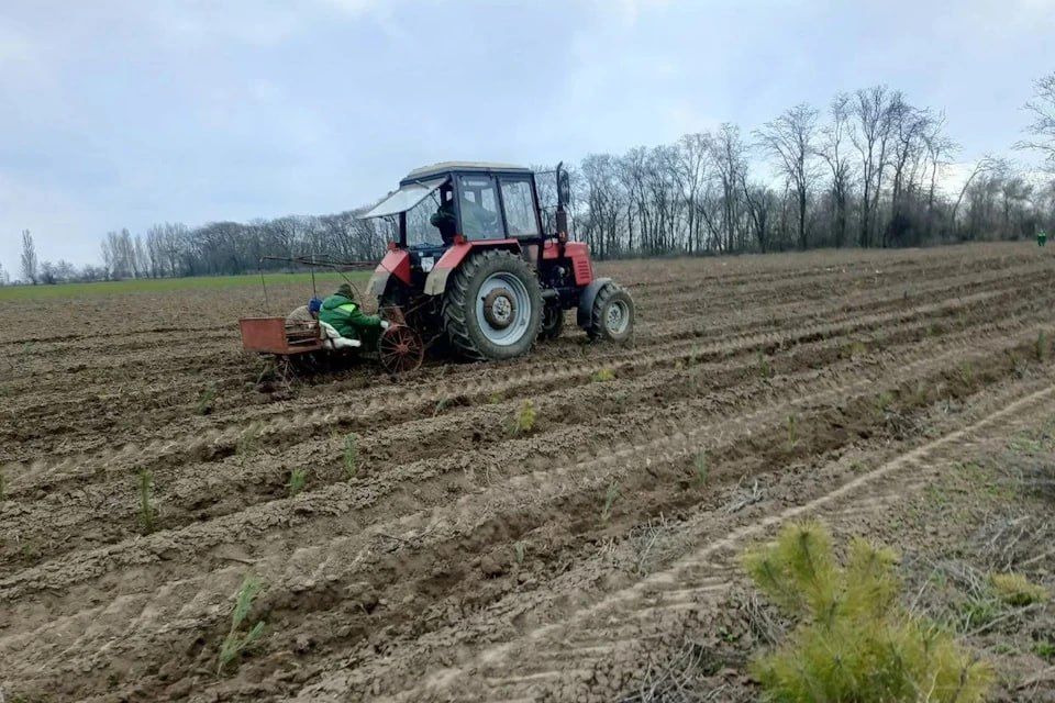 � ��������� ����������� ������� �������� ����� ����� �������� ����� ��������