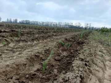 � ��������� ����������� ������� �������� 6 ����� �������� ����� �������� ��� �������������� �����