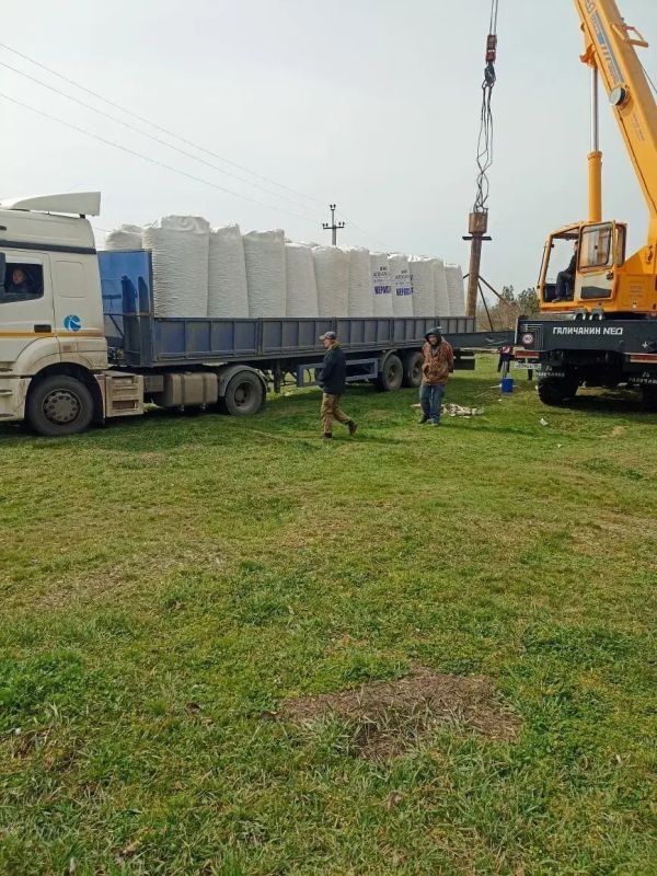 ����� ������ �������� ��������� ������������� ������ � �����