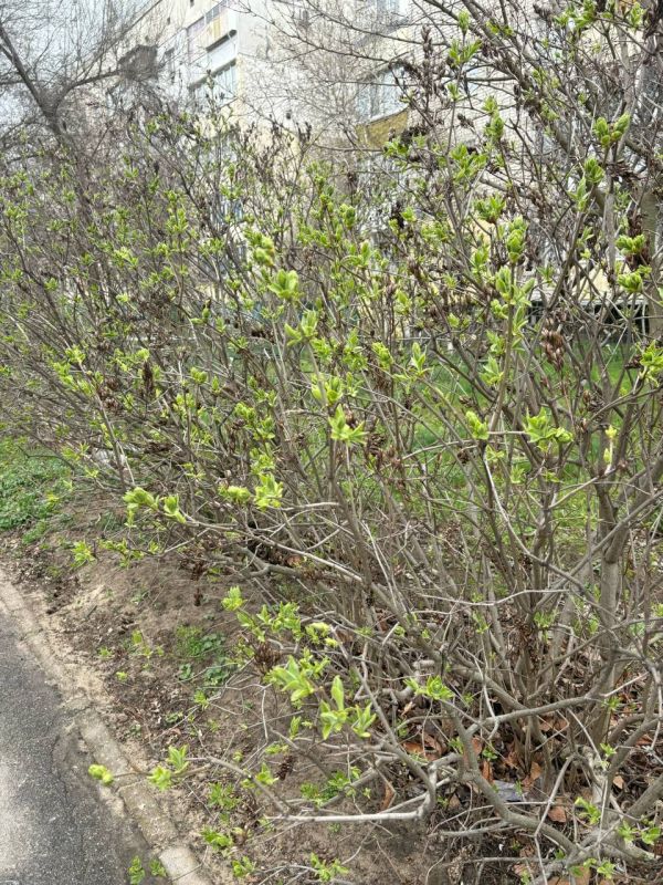 ������ ����, �������������!