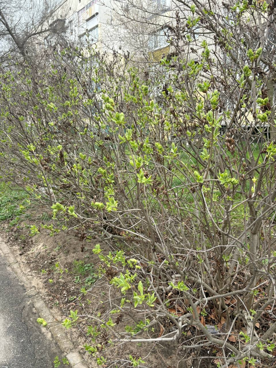 Доброе утро, новокаховчане!