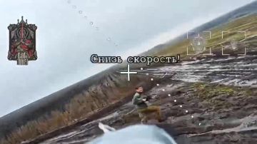 ����������� ������-������������� ���������������