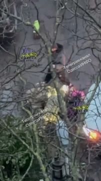 �������� � ������ �������� ���������, �������� � ������� ��������� �����: ������������� ��-�������