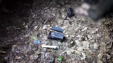 ��� ������ � ���������� ������� ������������ ������, ��������������� ����������� �� �� ������� ��������� �������