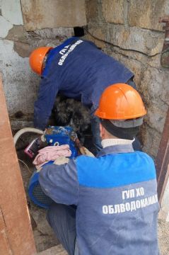 ������������� ������������� ��� ��������� ������, ������������ �� ��������� ��������� ���������� ����� � �������������� ��������� ��������