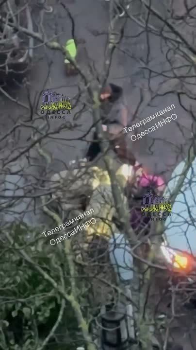 �������� � ������ �������� ���������, �������� � ������� ��������� �����: ������������� ��-�������