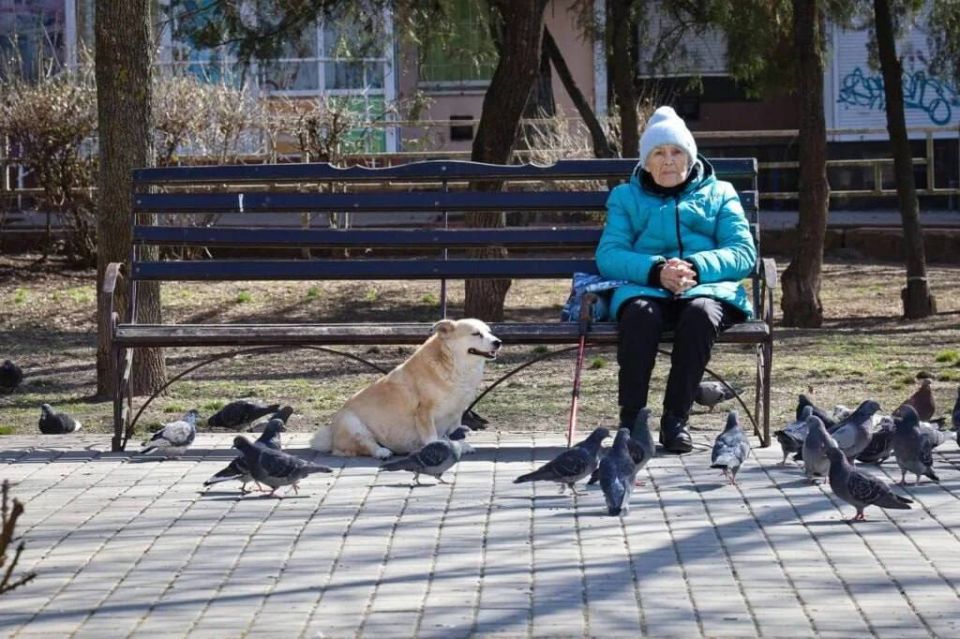 �������������� ������ - ��������� �� �����