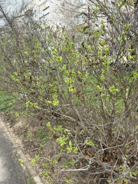 Доброе утро, новокаховчане!