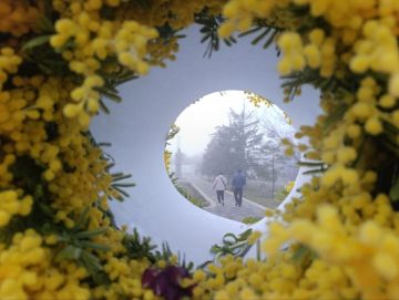 ���� ��������: ������ ����, ������� ������ � ����� ����������� ������!