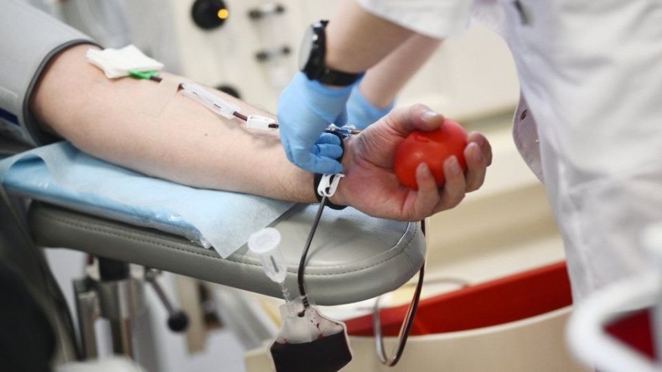 ����� ��� �����: ������������ ��������� ������ ������������ ������ �� ����������