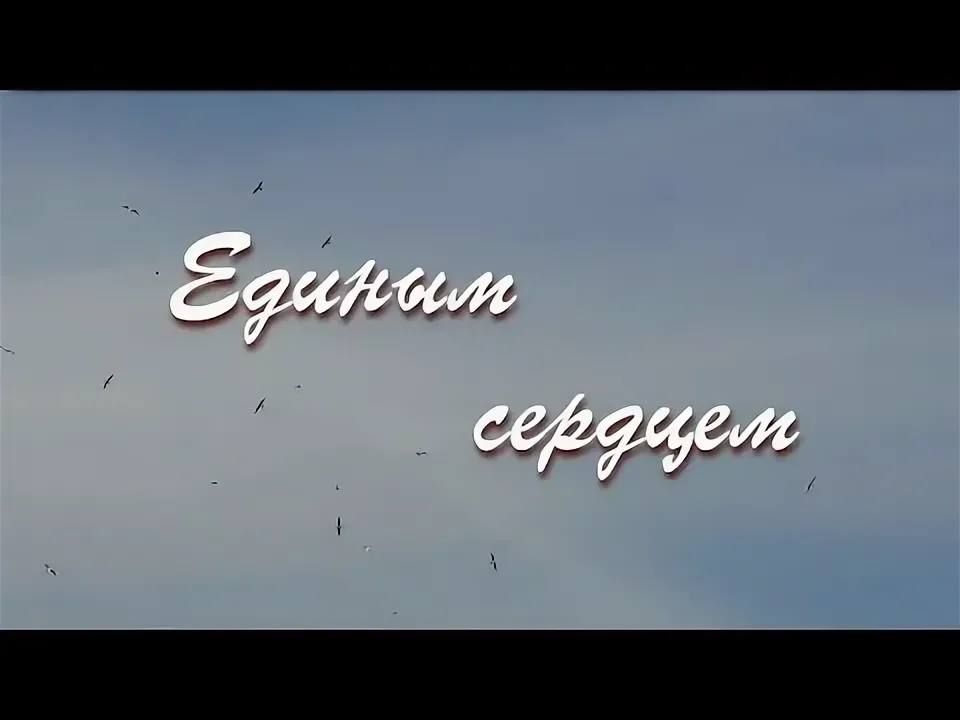 ��������� ���� ������ �� ������������� ���������� ������� ������� �������