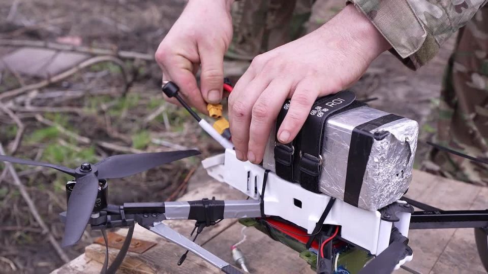 ���� �� �������: ������������� ��� ��� � ������� ������-������������� ������� � ��������� ��� ��������� ���������� ���� ��� �� ��������������� ����������� � ���