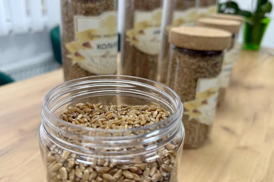 ��������, ������ � ������: ��� �������� ���������� ������� ���������� ����� ����� ����� ������ �������