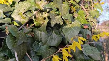 ������ ����, ������ ���������� �������������� ������!