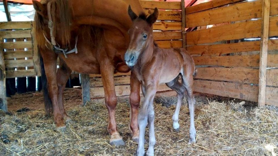 � ���������� ������ ����� ������� ��������� �������