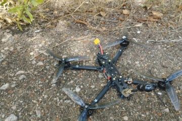 � ������� ����� �������� �������� ������ ��������������������� �����