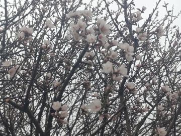 Доброе утро, дорогие жители и гости Генического округа!