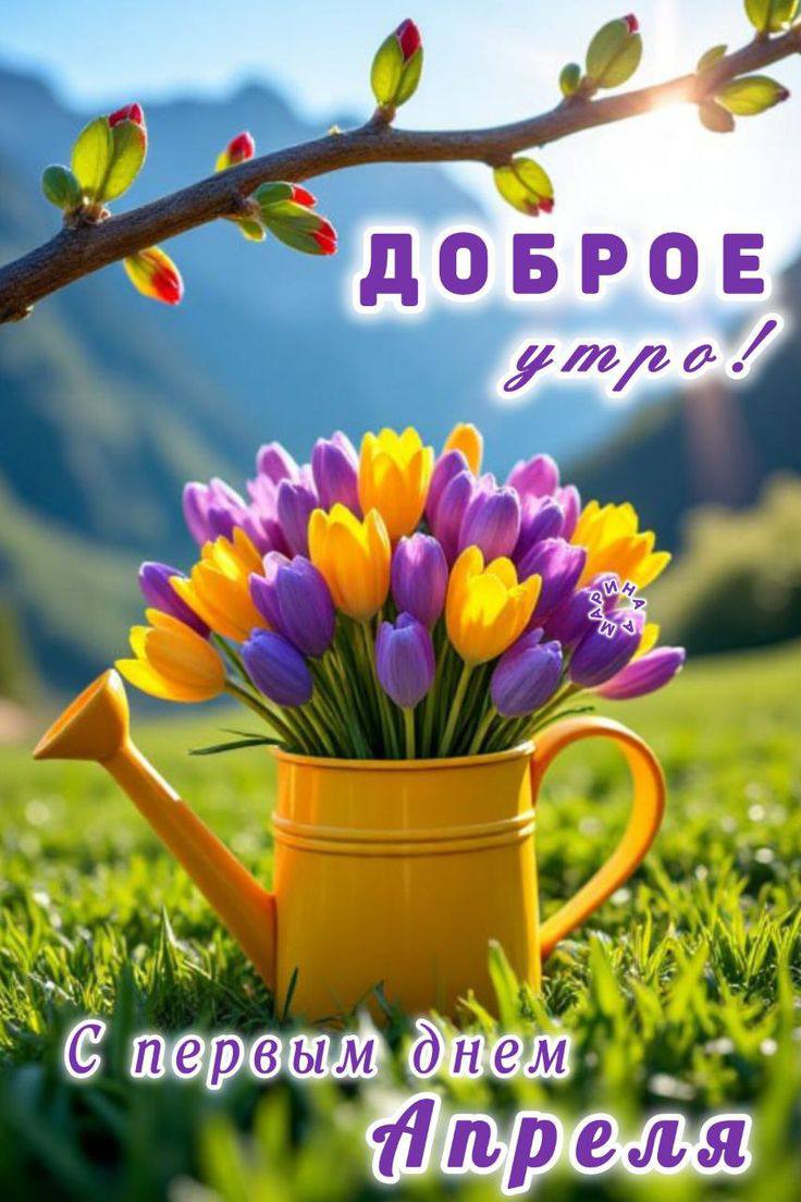 Доброе утро, округ!. Сегодня среда, 1 апреля