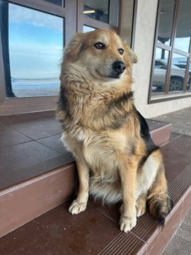 ����������� ����� ������!. � ����� ����� �������� ����� ��������� � �������� ��������